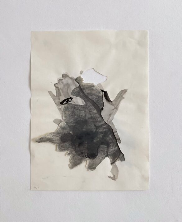 Ritratto ad inchiostro, ritagliagli sull'immagine, collage