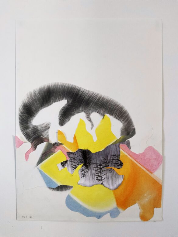 Liana Zanfrisco, Aiuole, 2023, 60 x 42 cm