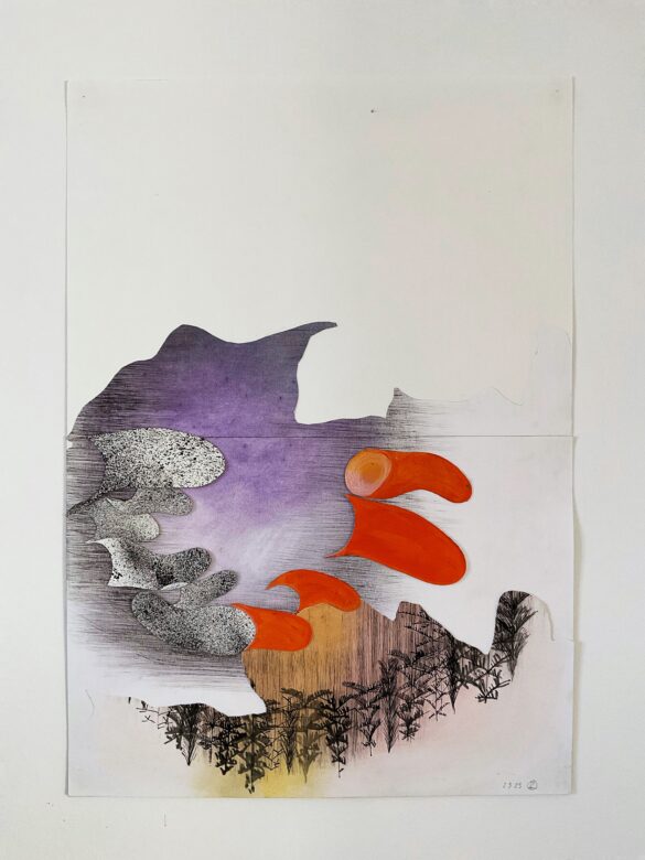 Liana Zanfrisco, Aiuole, 2023, 60 x 42 cm